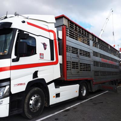 Camion_Terneros